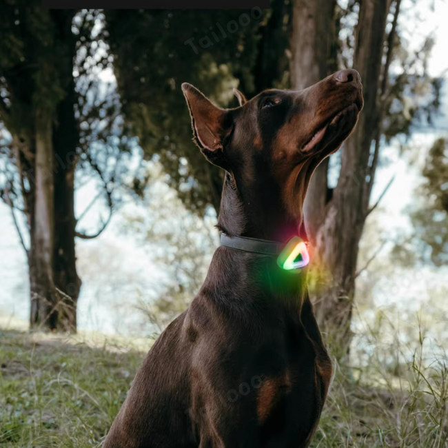 Triangular rechargeable waterproof dog walking lights Main Image