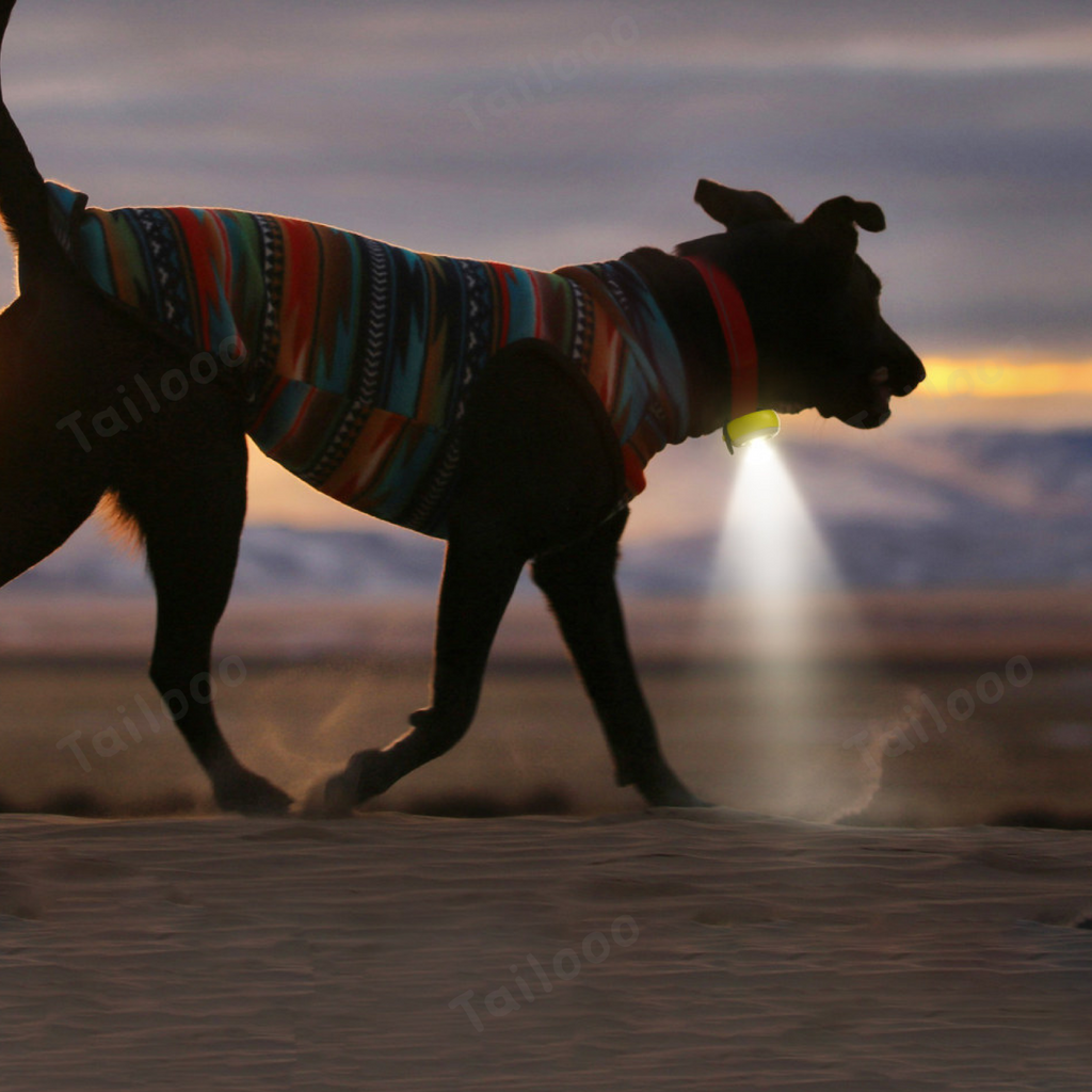 Triangular rechargeable waterproof dog walking lights