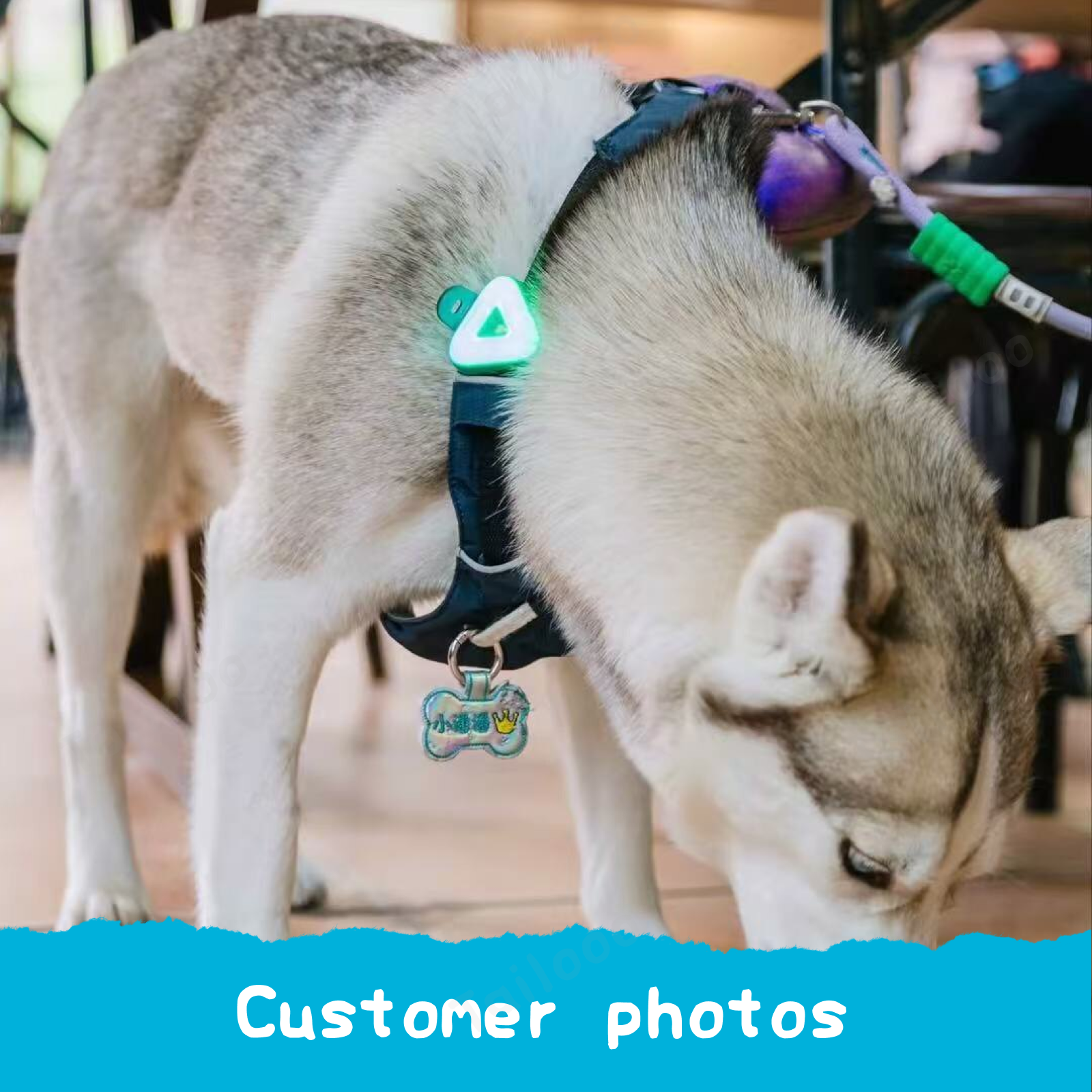 Triangular rechargeable waterproof dog walking lights