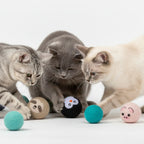 Safe & Durable Play Balls Natural Wool Felt Balls for Cats & Dogs