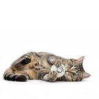 Safe & Durable Play Balls Natural Wool Felt Balls for Cats & Dogs