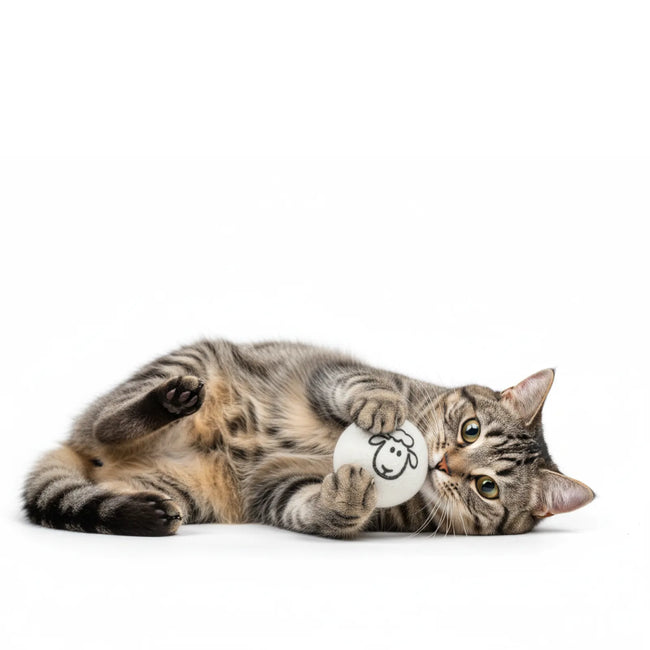 Safe & Durable Play Balls Natural Wool Felt Balls for Cats & Dogs Main Image