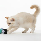 Safe & Durable Play Balls Natural Wool Felt Balls for Cats & Dogs