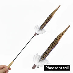 Peacock Feather Cat Teaser Wand – Interactive Natural Feather Toy with Wooden Handle for Indoor Cats & Kittens