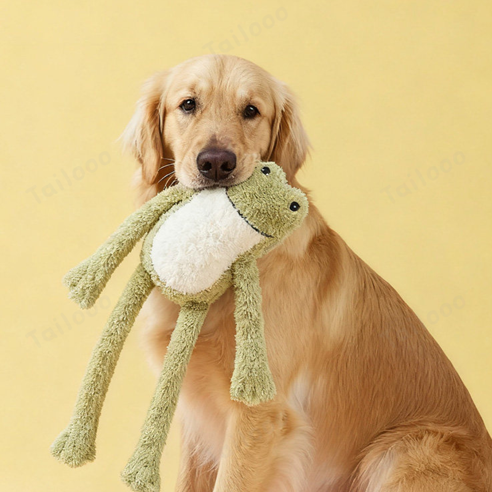 Frog Plush Dog Toy with Squeaker and Crinkle Paper