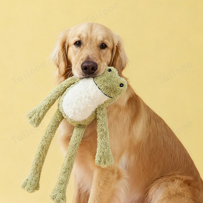 Frog Plush Dog Toy with Squeaker and Crinkle Paper Main Image