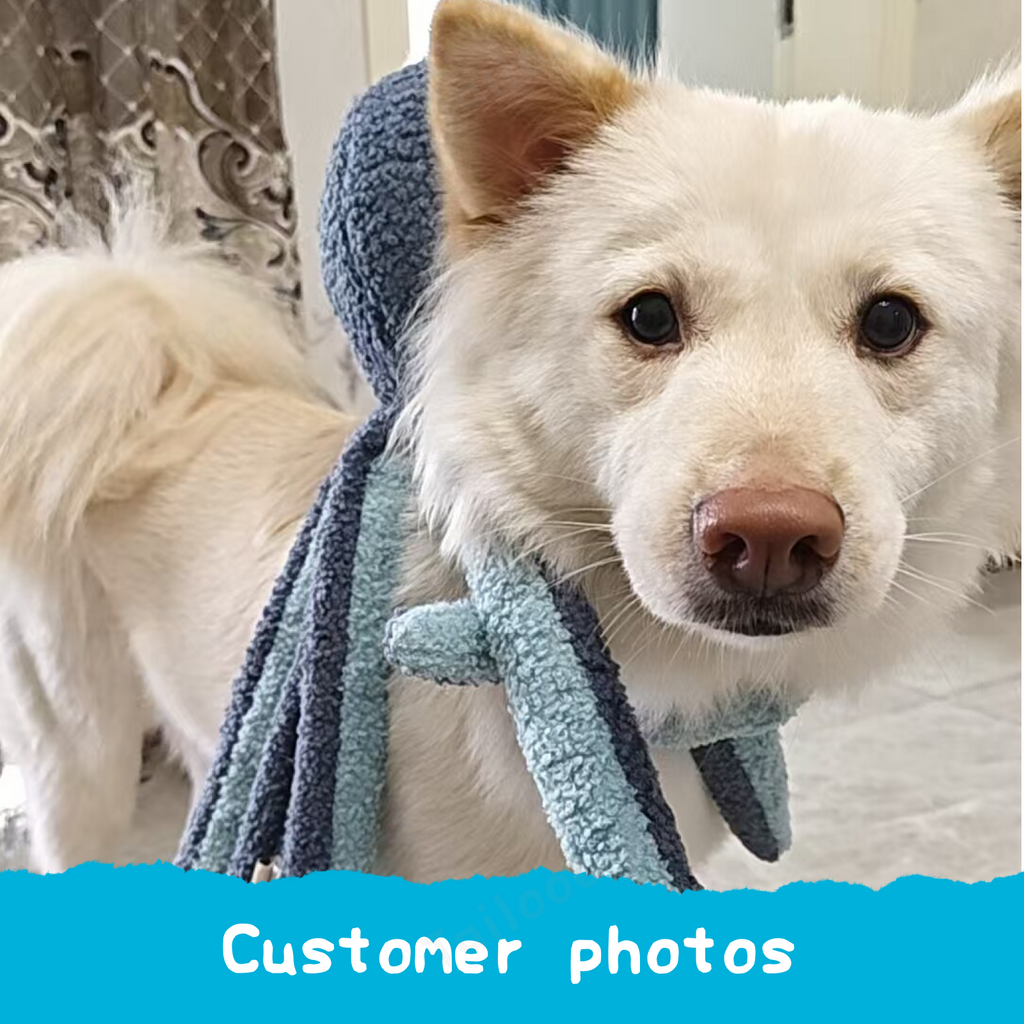 Blue Octopus Plush Dog Toy with Squeaker and Crinkle