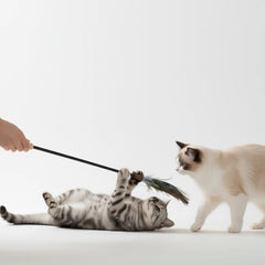 Peacock Feather Cat Teaser Wand – Interactive Natural Feather Toy with Wooden Handle for Indoor Cats & Kittens