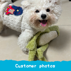 Frog Plush Dog Toy with Squeaker and Crinkle Paper