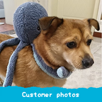 Blue Octopus Plush Dog Toy with Squeaker and Crinkle