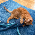 Blue Octopus Plush Dog Toy with Squeaker and Crinkle