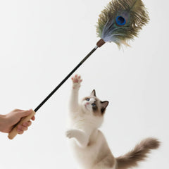 Peacock Feather Cat Teaser Wand – Interactive Natural Feather Toy with Wooden Handle for Indoor Cats & Kittens