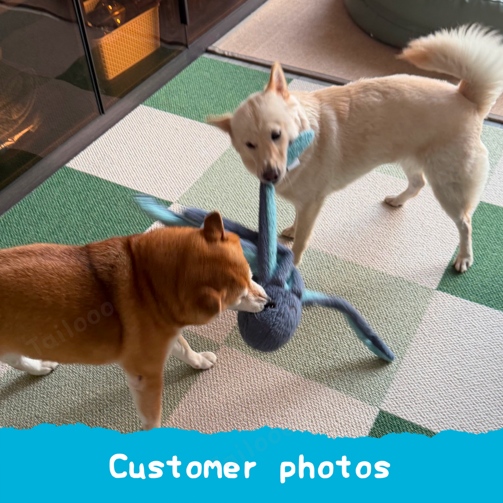 Blue Octopus Plush Dog Toy with Squeaker and Crinkle