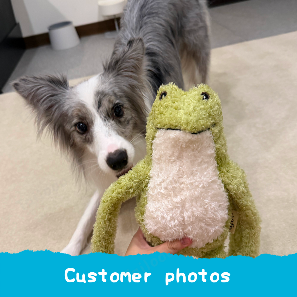 Frog Plush Dog Toy with Squeaker and Crinkle Paper