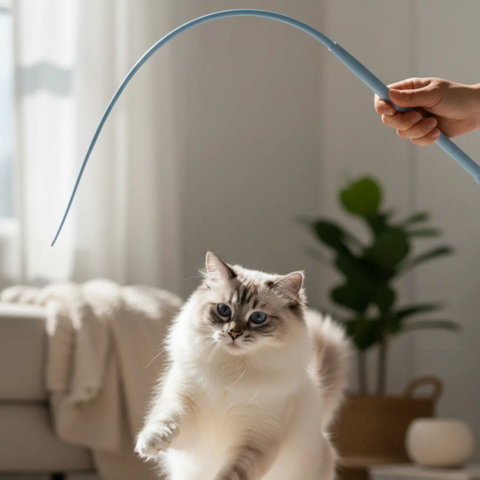 Interactive Silicone Cat Wand Toy – Durable Teaser Stick with Replaceable Head for Indoor Cats & Kittens