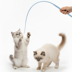 Interactive Silicone Cat Wand Toy – Durable Teaser Stick with Replaceable Head for Indoor Cats & Kittens