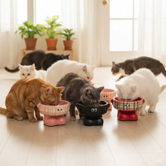 Ceramic Cartoon Pet Bowl – Elevated Cute Dog & Cat Feeding Dish, Non-Slip Raised Food Bowl for Puppies & Kittens