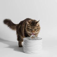 Ceramic Pet Water Fountain – Automatic Cat & Dog Drinking Fountain with Quiet Pump, Healthy Circulating Water Bowl