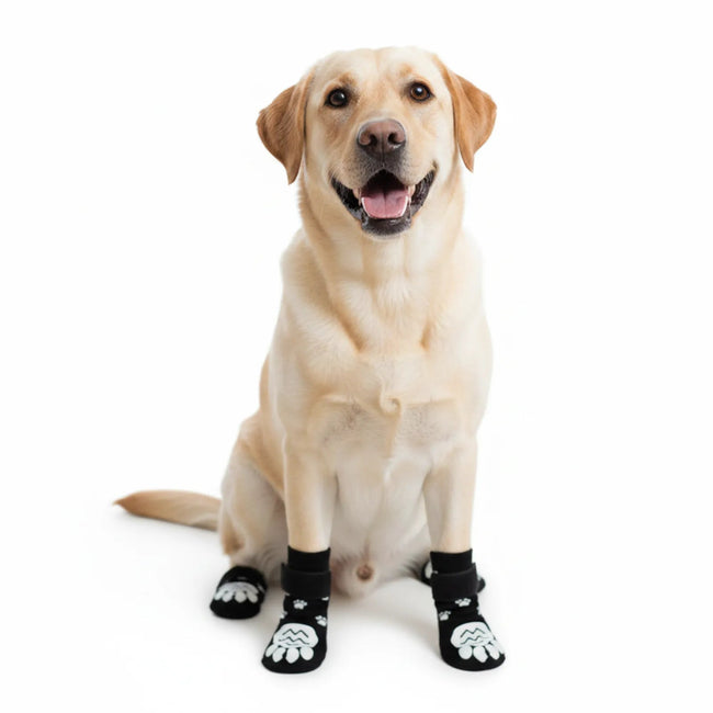 Anti-Slip Dog Sock with Adjustable Straps - Secure Paw Protection Main Image