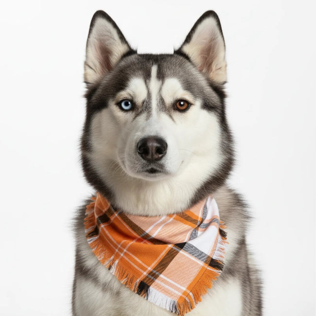 Classic Plaid Cotton Pet Bandana - Stylish Dog Scarf Bandana for All Sizes Main Image