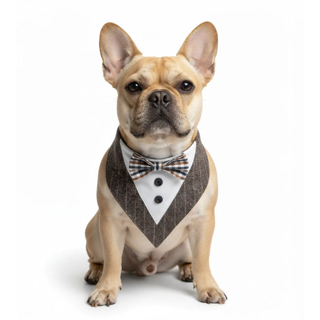 Tuxedo Pet Bandana with Bow Tie - Formal Cotton Wedding Scarf for Dogs Main Image