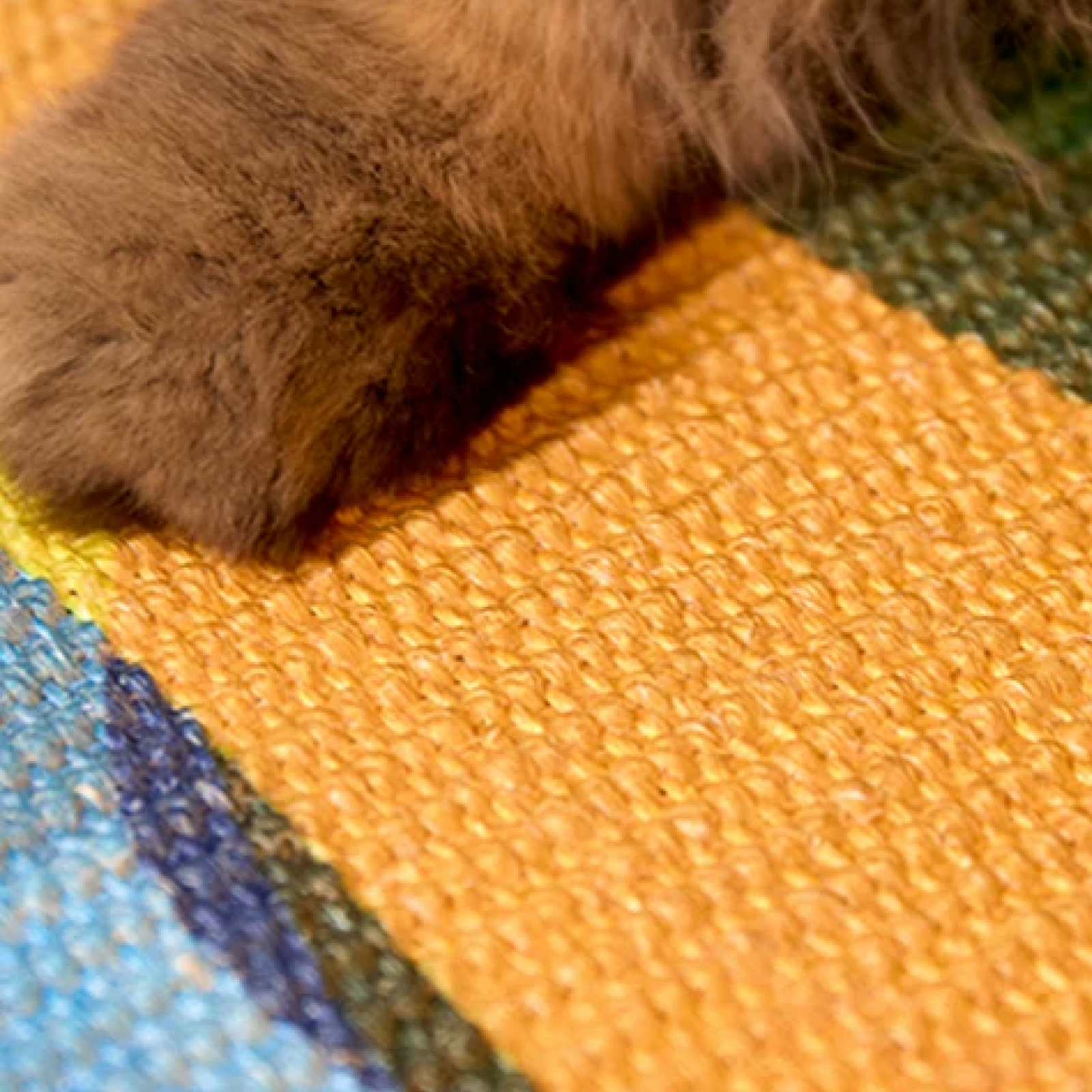 Wall-mounted, wear-resistant, non-shedding sisal cat scratching board