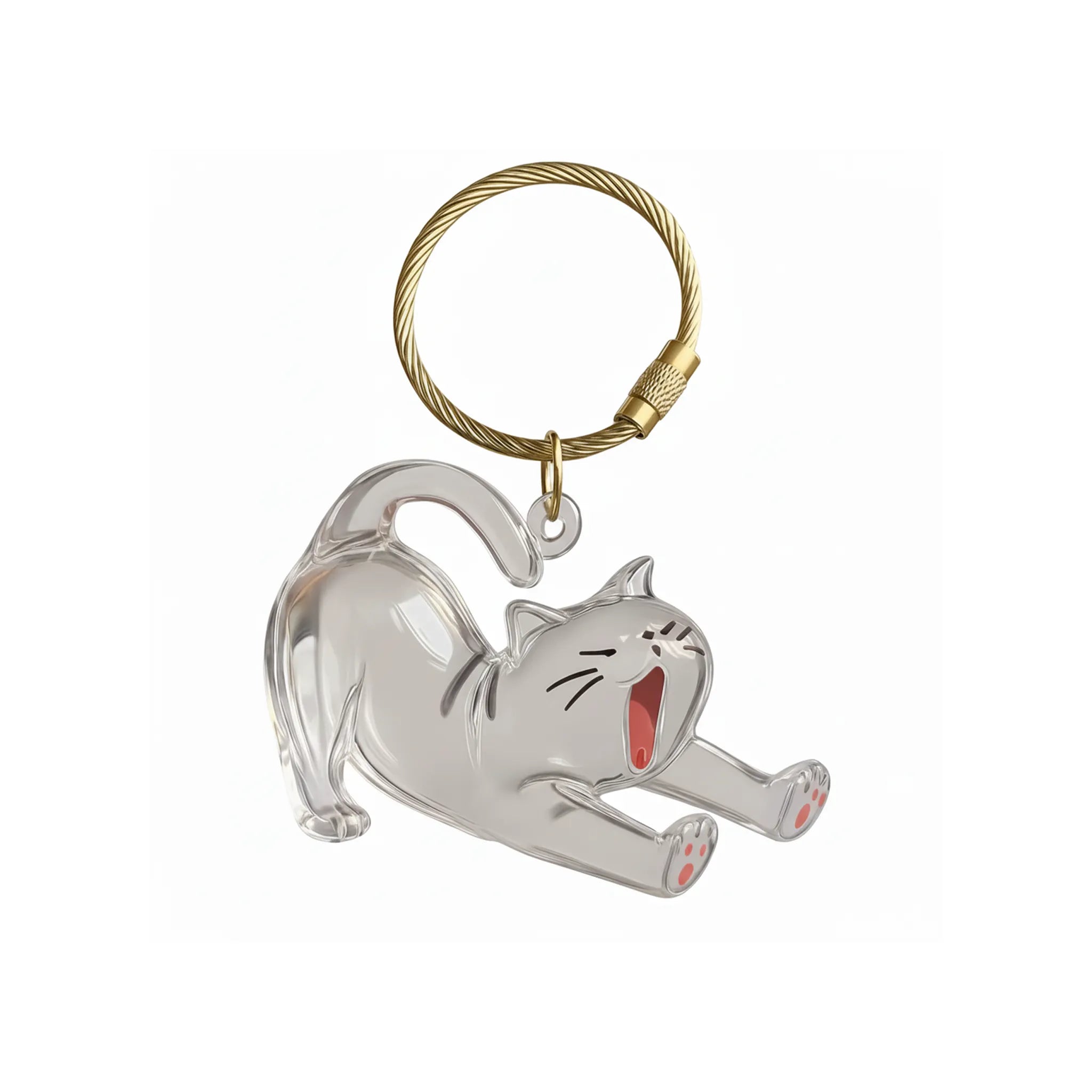 Acrylic Pet Hair Keepsake Memorial Pendant – Transparent Cat Keychain Ashes Holder, Remembrance Gift for Cat & Dog Owners