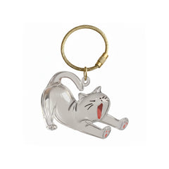 Acrylic Pet Hair Keepsake Memorial Pendant – Transparent Cat Keychain Ashes Holder, Remembrance Gift for Cat & Dog Owners