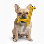 Handmade Natural Cotton Rope Chew Dog Toys