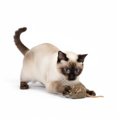 Durable & Engaging Catnip Mouse Toy – Relieve Boredom, Satisfy Instincts, Endless Fun for Pets!