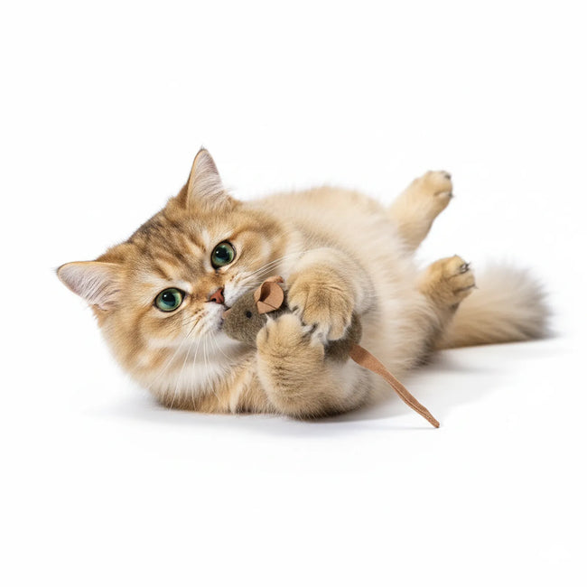 Durable and Fun Catnip Mouse  Cat Toy Main Image