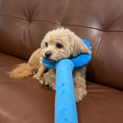 Interactive Cotton Polyfill Pet Teasing Stick | Durable Tug Toy for Dogs & Cats | Fun Training & Play Bonding Toy