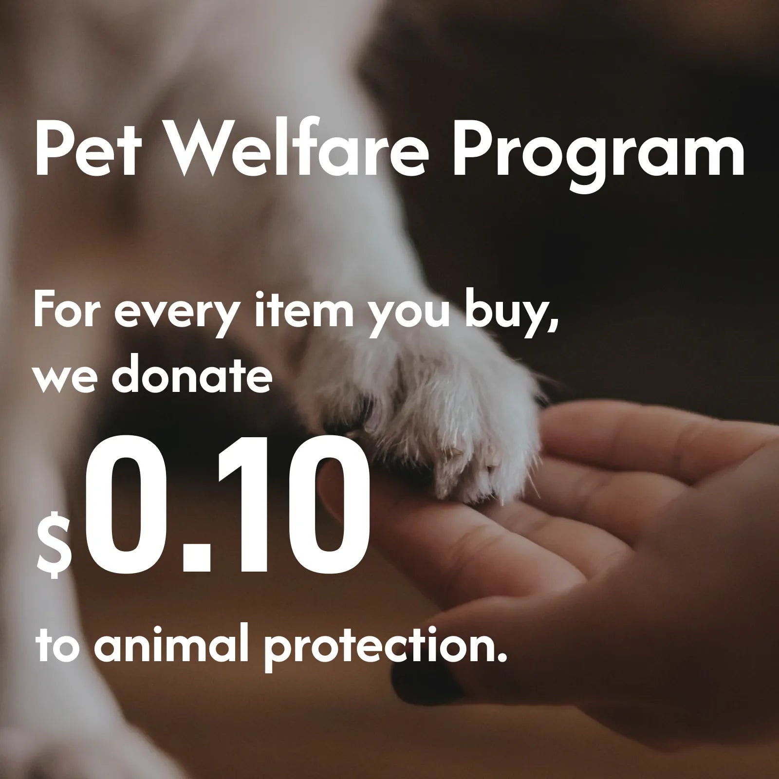 Woven Rattan Pet Bed with Cushion for Puppies & Kittens