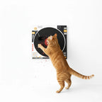 Eco-friendly Vinyl Record Cat Scratching Board