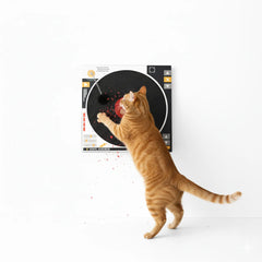 Vinyl Record Cat Scratching Board – Eco-Friendly Wood Pulp Paper Cat Scratcher Pad | Stylish Design for Stress Relief & Fun