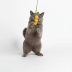 Handmade Crochet Lily of the Valley Cat Teaser Wand