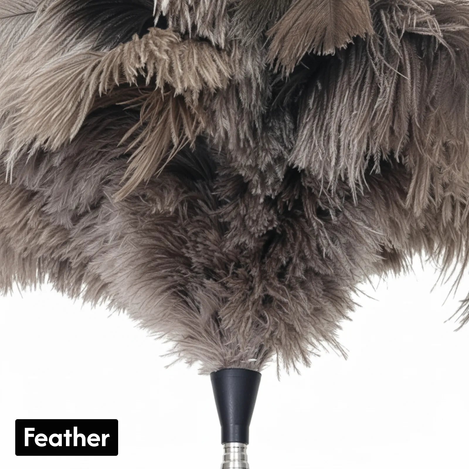 Natural Ostrich Feather Cat Teaser Wand – Adjustable Handle, Eco-Friendly Interactive Cat Toy & Dual-Purpose Duster (5 Colors)