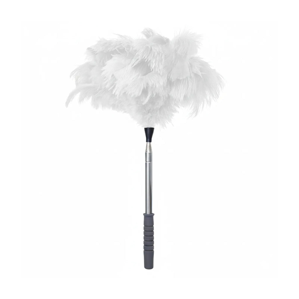 Natural Ostrich Feather Cat Teaser Wand