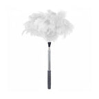 Natural Ostrich Feather Cat Teaser Wand