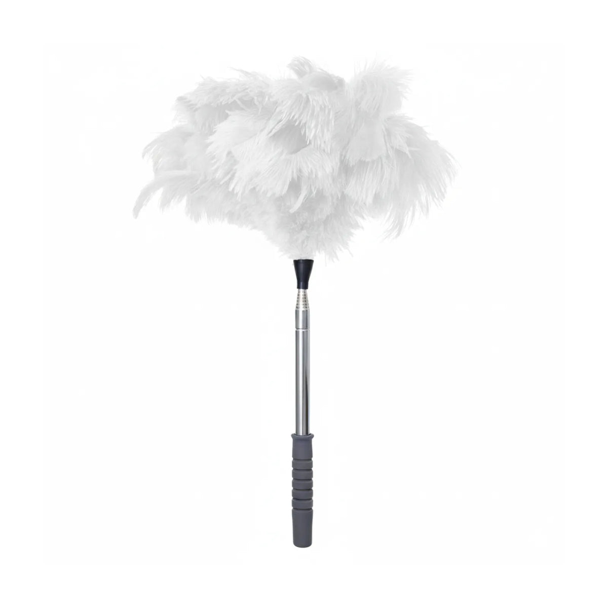 Natural Ostrich Feather Cat Teaser Wand – Adjustable Handle, Eco-Friendly Interactive Cat Toy & Dual-Purpose Duster (5 Colors)
