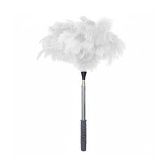 Natural Ostrich Feather Cat Teaser Wand – Adjustable Handle, Eco-Friendly Interactive Cat Toy & Dual-Purpose Duster (5 Colors)