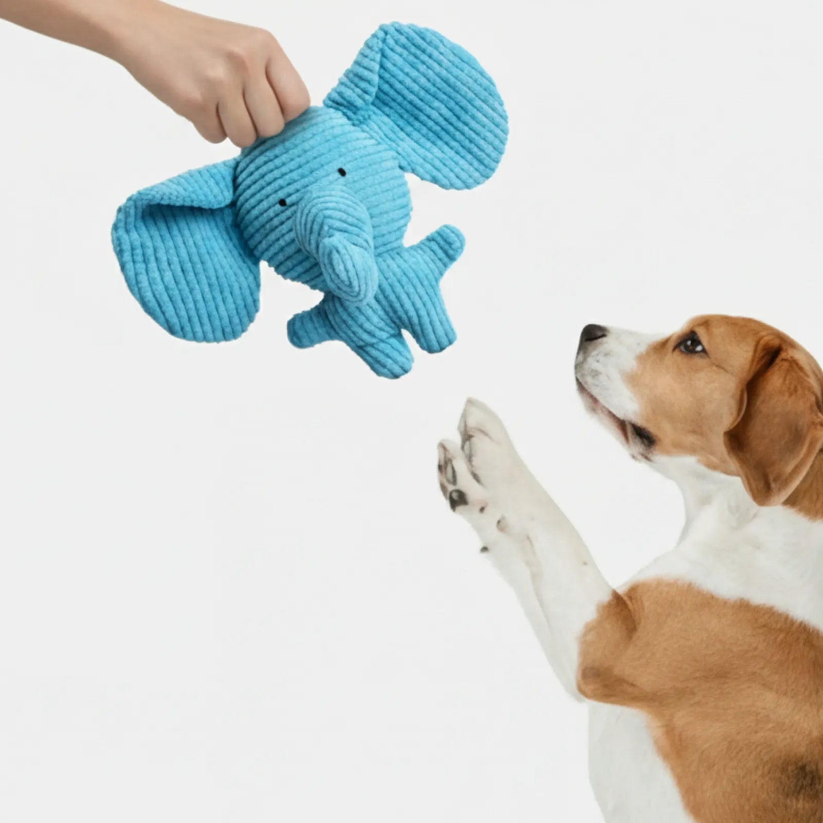 Corduroy Elephant Dog Toy with Squeaker – Durable Plush Chew Toy for Puppies, Small & Medium Dogs