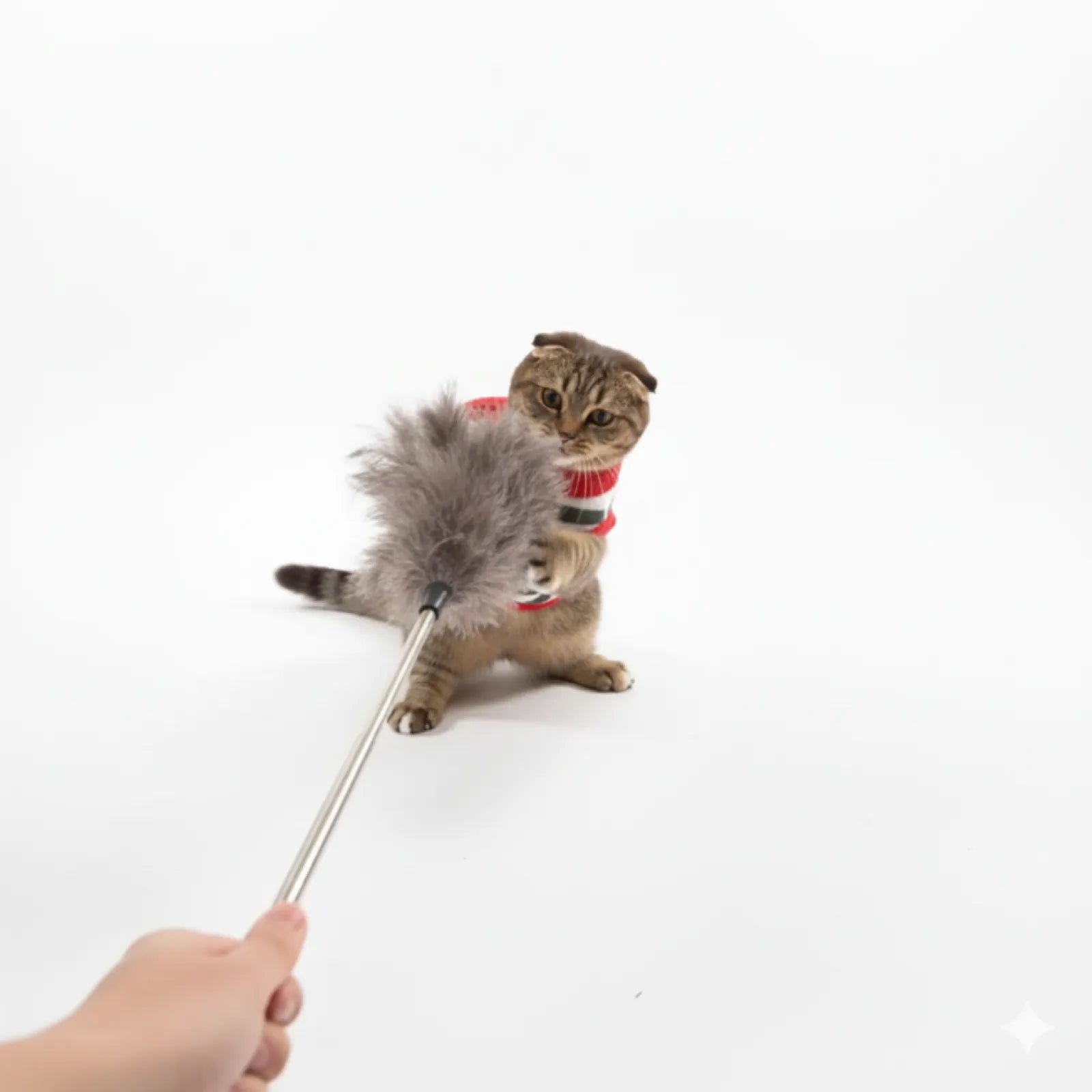 Natural Ostrich Feather Cat Teaser Wand – Adjustable Handle, Eco-Friendly Interactive Cat Toy & Dual-Purpose Duster (5 Colors)