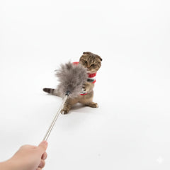 Natural Ostrich Feather Cat Teaser Wand – Adjustable Handle, Eco-Friendly Interactive Cat Toy & Dual-Purpose Duster (5 Colors)