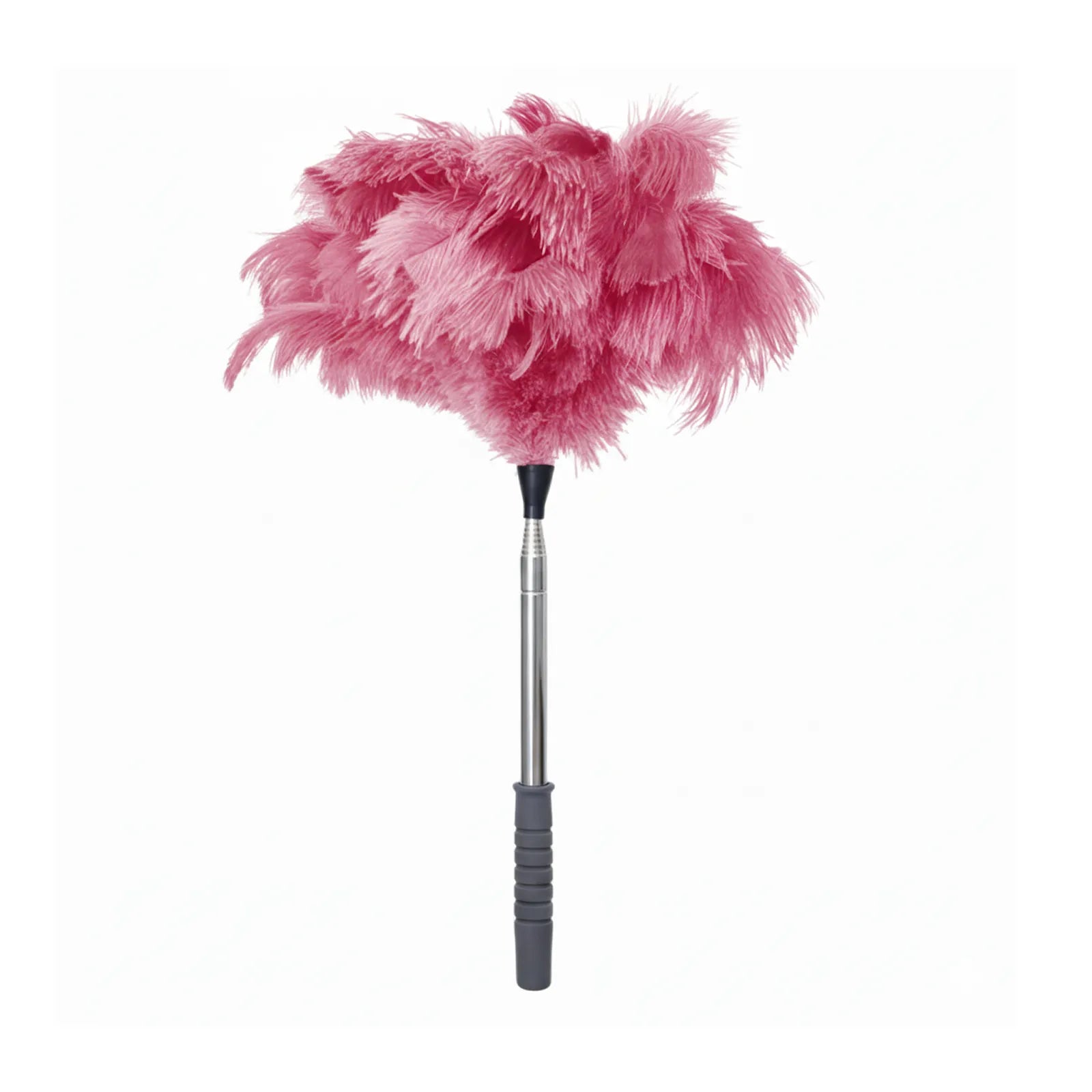 Natural Ostrich Feather Cat Teaser Wand – Adjustable Handle, Eco-Friendly Interactive Cat Toy & Dual-Purpose Duster (5 Colors)