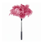 Natural Ostrich Feather Cat Teaser Wand