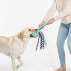 Durable Chew & Tug Octopus Plush Dog Toy with Crinkle & Squeaker