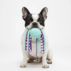 Durable Chew & Tug Octopus Plush Dog Toy with Crinkle & Squeaker