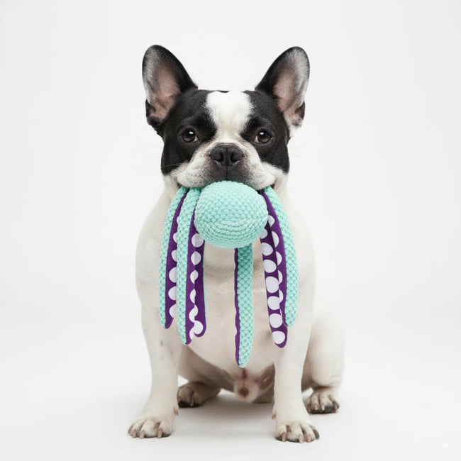 Durable Chew & Tug Octopus Plush Dog Toy with Crinkle & Squeaker Main Image