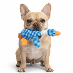 Goose Dog Toy with Squeaker – Durable Plush Chew & Tug Toy for Puppies, Small & Medium Dogs